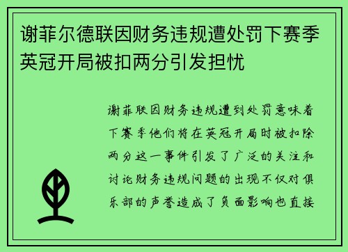 谢菲尔德联因财务违规遭处罚下赛季英冠开局被扣两分引发担忧