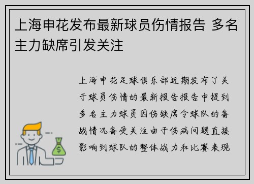 上海申花发布最新球员伤情报告 多名主力缺席引发关注